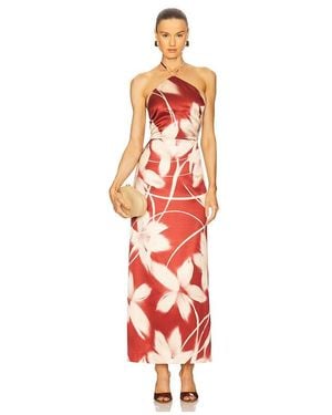 Steve Madden Oaklyn Dress - White