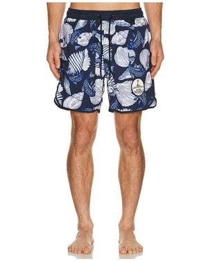Agua Bendita Liam Trunks - Blue