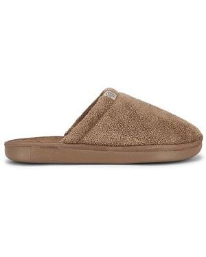 Brunch Slippers Essential - Braun