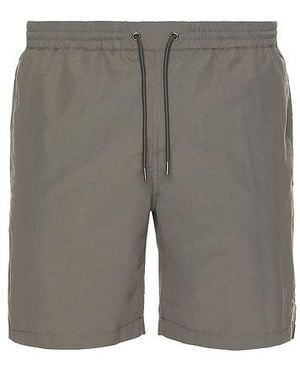 AllSaints Badeshorts Haven - Grau