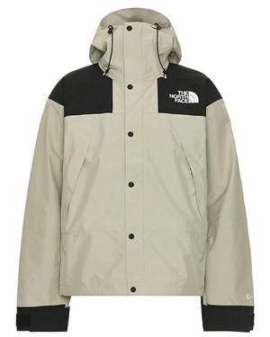 The North Face Gtx Mountain Jacket - Natural