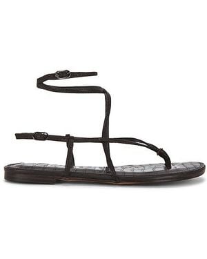 Sam Edelman SANDALES CLARRA en Chocolate - Multicolore