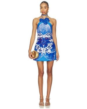 AMUR Kleid Everlee - Blau