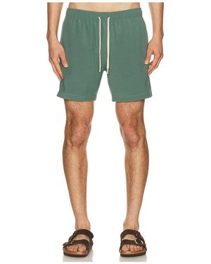 Faherty Badeshorts - Grün