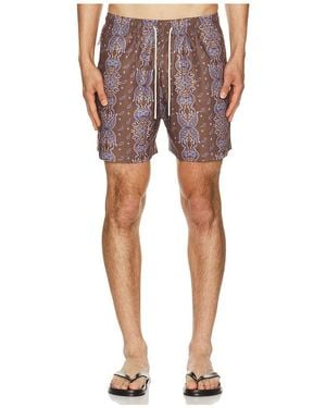 Oas SHORT DE BAIN ITACA en Brown - Rouge