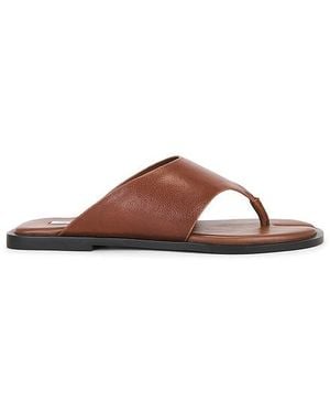 Steve Madden Illia Sandal - Brown