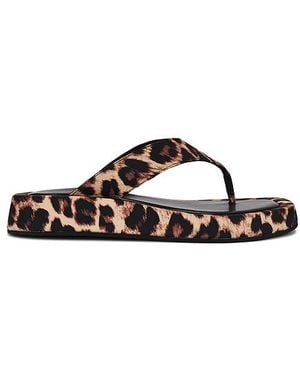 Tony Bianco Ives Sandal - Multicolour