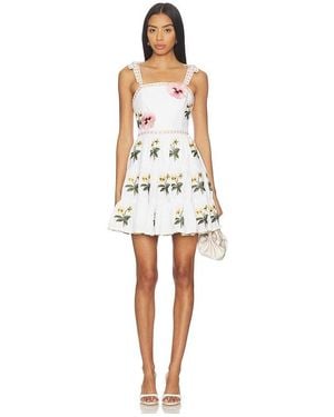 Rosewater House Tara Mini Dress - White