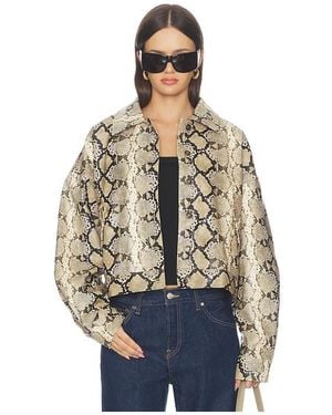 Lioness Angel Jacket - Blue