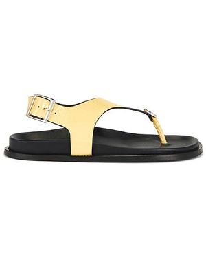 Alohas Harbor Onix Sandals - Multicolor