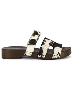 Steve Madden Canal-C Sandal - Black