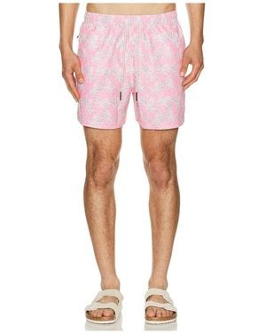 Oas SHORT DE BAIN PINK en Pink - Rose