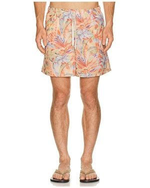 Bather Macaw Jungle Swim Trunk - Red