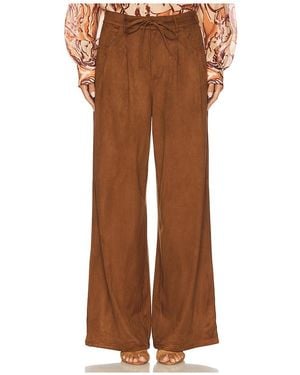 Steve Madden Hose Alysia - Braun