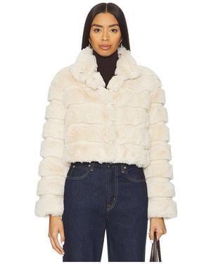 Adrienne Landau Goldie Jacket - Blue