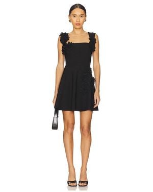 Elliatt Minikleid Jada - Schwarz