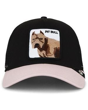 Goorin Bros The Pitbull Trucker Hat - Black