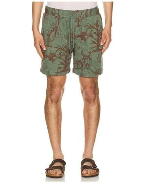 Oas Shorts Porto - Grün