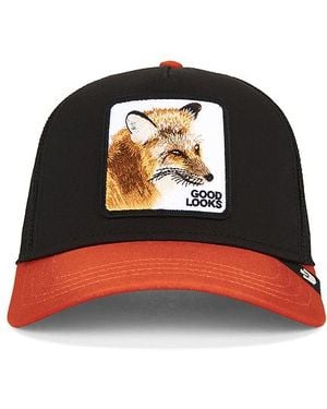 Goorin Bros Good Looks Fox Trucker Hat - Black