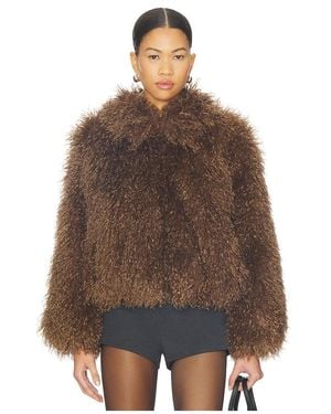 Astr Kamrath Jacket - Brown