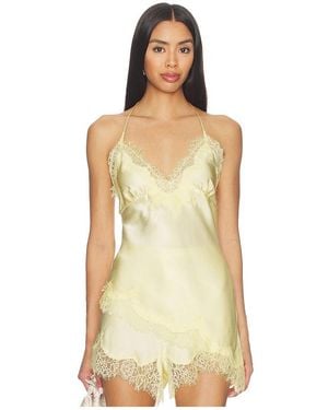 Bardot Silvio Halter Camisole Top - Multicolour