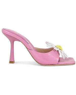LPA Tacón Camila En Talla En - Rosa
