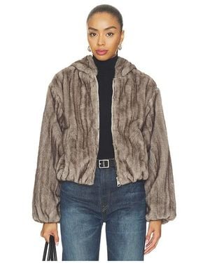 Steve Madden Carmilla Jacket - Blue