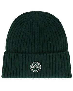 HEMLOCK HAT CO. Wool Cashmere Ribbed Beanie - Green