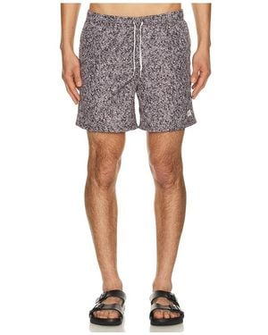 Bather Badehose - Mehrfarbig