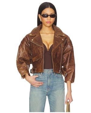 Lamarque Vinnie Jacket - Brown