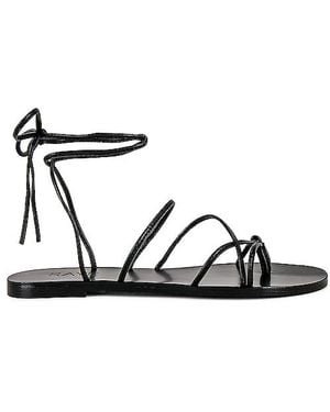 RAYE Sandalia Spur En Color Negro Talla (También En 7, 8.5)