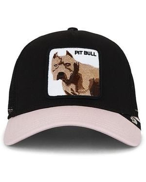 Goorin Bros The Pitbull Trucker Hat - Black