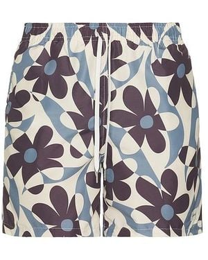 Bather Pastel Daisy Trip Swim Trunks - Schwarz