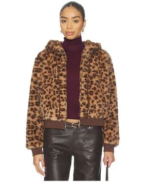 Le Superbe Windward Hoodie - Brown