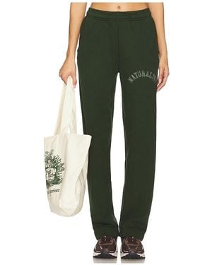 Museum of Peace & Quiet Naturalist Joggers - Green