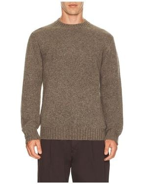 NN07 Lee 6598 - Brown