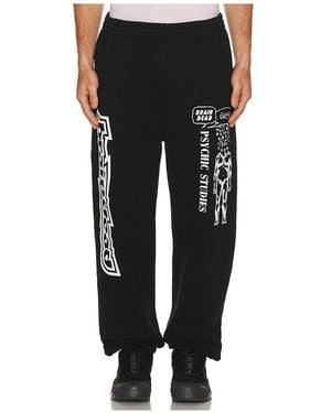 Brain Dead Psychic Studies Sweatpant - Black