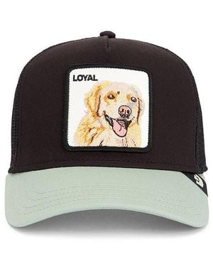 Goorin Bros The Loyal Dog Trucker Hat - Black