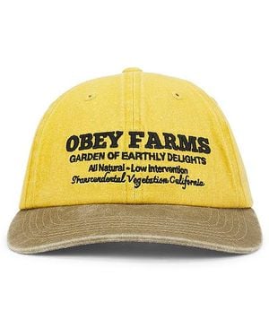 Obey 6-Panel-Cap Mit Riemen Hinten Farms - Gelb