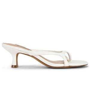 Steve Madden Brienna Sandal - White