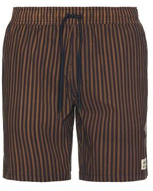 Brixton Shorts Everyday - Braun