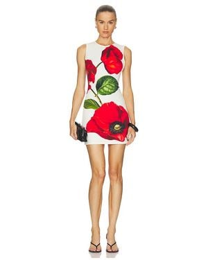 Alice + Olivia Wynell Fitted Mini Dress - Red