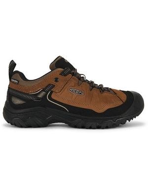 Keen Sneakers Targhee - Braun