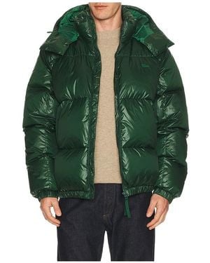 Lacoste Nylon Shiney Puffer Jacket - Green
