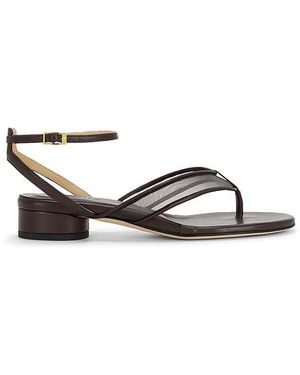 Dear Frances Sandalia Fina Thong En Color Marrón Talla (También En 37, 38, 39, 40) - Blanco