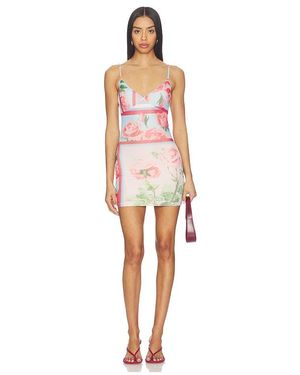 Tiger Mist Julianna Mini Dress - Multicolor