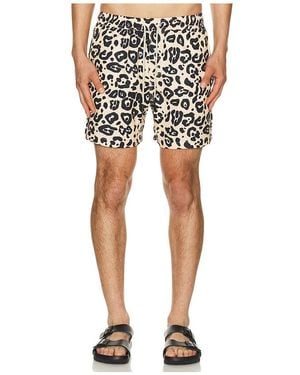 Oas SHORT DE BAIN LEO en Tan - Noir