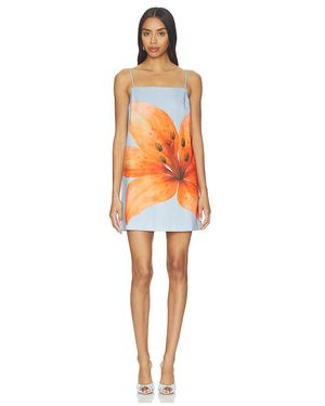 Line & Dot Avah Mini Dress - Orange