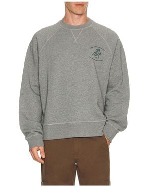 Palmes Lake Raglan Crewneck Sweatshirt - Gray