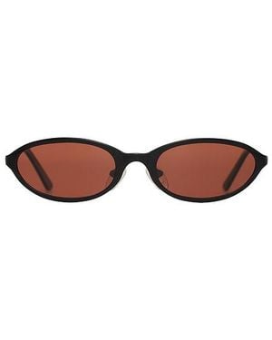 BRU Eyewear Poly Sunglasses - Brown